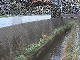 有馬川 東野川付近のカメラ画像