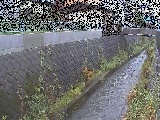 東野川付近のカメラ画像