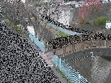 嶋田人道橋付近のカメラ画像