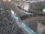 嶋田人道橋付近のカメラ画像