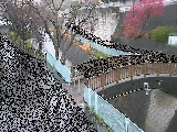 平瀬川 嶋田人道橋付近のカメラ画像