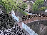 嶋田人道橋付近のカメラ画像