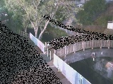 嶋田人道橋付近のカメラ画像