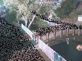 嶋田人道橋付近のカメラ画像