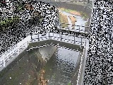平瀬川支川 あゆみ橋付近のカメラ画像