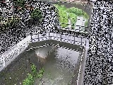 あゆみ橋付近のカメラ画像