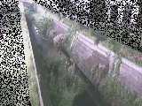 真光寺川 矢崎橋付近のカメラ画像