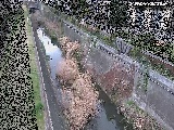 矢崎橋付近のカメラ画像