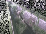 矢崎橋付近のカメラ画像