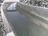 平作川 根岸歩道橋付近のカメラ画像