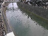 平作川 根岸歩道橋付近のカメラ画像