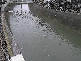 平作川 根岸歩道橋付近のカメラ画像