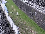 田越川 堰橋付近のカメラ画像