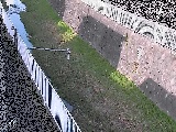 田越川 堰橋付近のカメラ画像