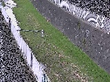 堰橋付近のカメラ画像