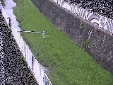 田越川 堰橋付近のカメラ画像