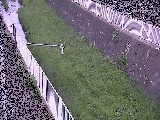 田越川 堰橋付近のカメラ画像