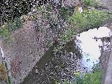 森戸川 下小路橋付近のカメラ画像