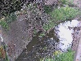 下小路橋付近のカメラ画像