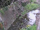 下小路橋付近のカメラ画像