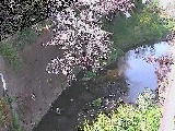 森戸川 下小路橋付近のカメラ画像