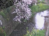 森戸川 下小路橋付近のカメラ画像