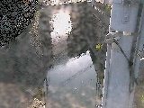 大橋付近のカメラ画像