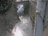 竹川 大橋付近のカメラ画像