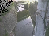 竹川 大橋付近のカメラ画像