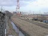若宮橋付近のカメラ画像