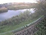 金目川 高麗大橋付近のカメラ画像