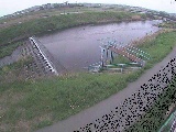 鈴川 舟橋付近のカメラ画像