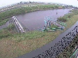 鈴川 舟橋付近のカメラ画像