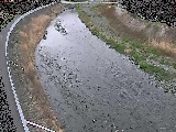 金目川 観音橋付近のカメラ画像