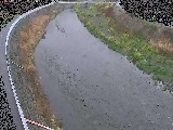 観音橋付近のカメラ画像