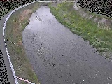 金目川 観音橋付近のカメラ画像