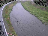 金目川 観音橋付近のカメラ画像