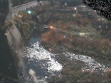 不動川 泉橋付近のカメラ画像