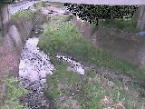 不動川 泉橋付近のカメラ画像