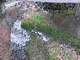 泉橋付近のカメラ画像