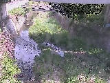 泉橋付近のカメラ画像