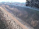 大根川 真田橋付近のカメラ画像