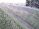 大根川 真田橋付近のカメラ画像