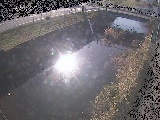 河内川 下河原橋付近のカメラ画像
