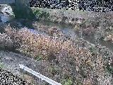 鈴川 東橋付近のカメラ画像