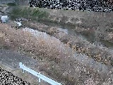 鈴川 東橋付近のカメラ画像