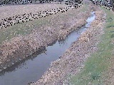 座禅川 土屋窪橋付近のカメラ画像
