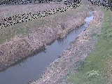 土屋窪橋付近のカメラ画像