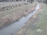 座禅川 土屋窪橋付近のカメラ画像