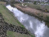 玉川橋付近のカメラ画像